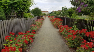 Blick in unsere Neuanlage Blick in unsere Neuanlage